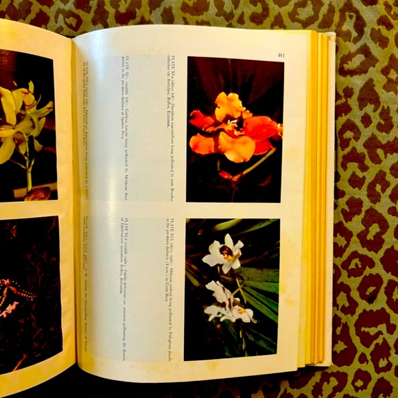 Orchid Flowers: Their Pollination and Evolution Hardbound Reference Book - Picture 8 of 12